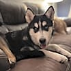 Thumbnail photo of Wyatt #3