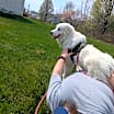 Thumbnail photo of Remy #4