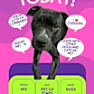 Thumbnail photo of BUGS #1