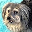Thumbnail photo of Corey #2