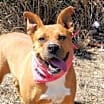 Thumbnail photo of Gracie Belle JuM* #1
