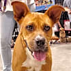 Thumbnail photo of Gracie Belle JuM* #3