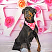 Thumbnail photo of Kesha JuM* #3