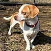 Thumbnail photo of Arlo #3