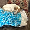 Thumbnail photo of Oliver #1