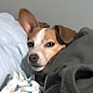 Thumbnail photo of Oliver #3