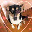 Thumbnail photo of Lady #1