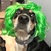 Thumbnail photo of Lady #2