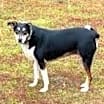 Thumbnail photo of Lady #3