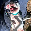 Thumbnail photo of Kayla #2