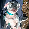 Thumbnail photo of Kayla #3