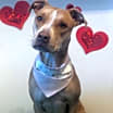 Thumbnail photo of Aggie (Agnes) #1