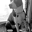 Thumbnail photo of Iris #1