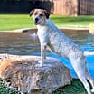Thumbnail photo of Keller #1