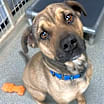Thumbnail photo of Tony #1