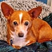 Thumbnail photo of Faith #1