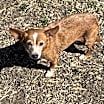 Thumbnail photo of Faith #2
