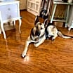 Thumbnail photo of Missee #4