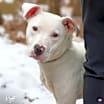 Thumbnail photo of Krypto #2