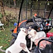 Thumbnail photo of Bean #4