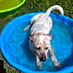 Thumbnail photo of Sprout #2