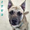 Thumbnail photo of Titus #1