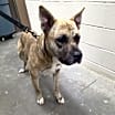 Thumbnail photo of Titus #2