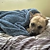 Thumbnail photo of Titus #3