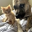 Thumbnail photo of Titus #4
