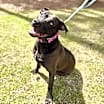 Thumbnail photo of Molly #1