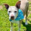 Thumbnail photo of Doris aka Dora #1