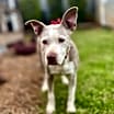 Thumbnail photo of Doris aka Dora #2