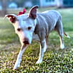Thumbnail photo of Doris aka Dora #3