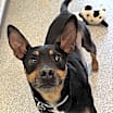 Thumbnail photo of Pablo #1