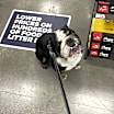 Thumbnail photo of Bronson #2