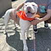 Thumbnail photo of Vida #1
