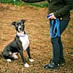 Thumbnail photo of Beckham #3