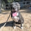 Thumbnail photo of Riley #2