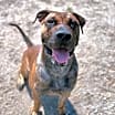 Thumbnail photo of Knox #1
