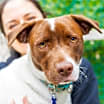 Thumbnail photo of Anacoco #2