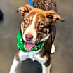 Thumbnail photo of Keegan #3