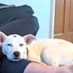 Thumbnail photo of Dot Talbot #2