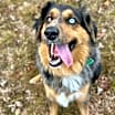 Thumbnail photo of Brody #1