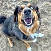 Thumbnail photo of Brody #4