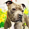 Thumbnail photo of Rayna #1