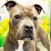 Thumbnail photo of Rayna #2