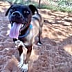 Thumbnail photo of Frannie #4