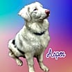Thumbnail photo of Aspen #1