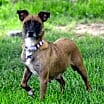Thumbnail photo of Margarita #1