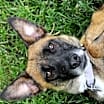 Thumbnail photo of Margarita #2